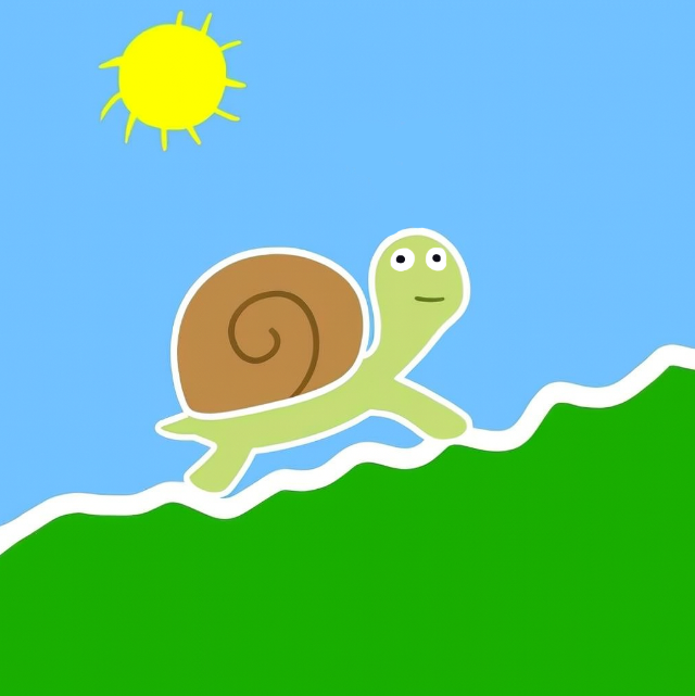 turtle